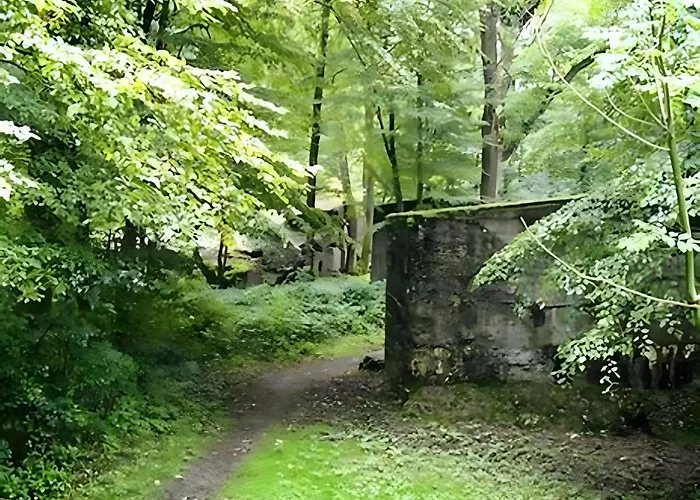 公寓 Gite Les Mesanges Vertes